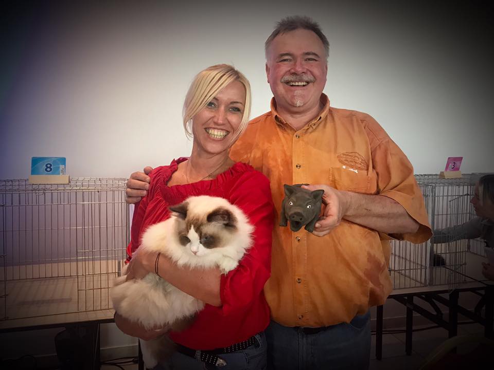 /images/Galeria/Kiállítások (Cat shows)/22789157_503399556694410_1451458281161832552_n.jpg